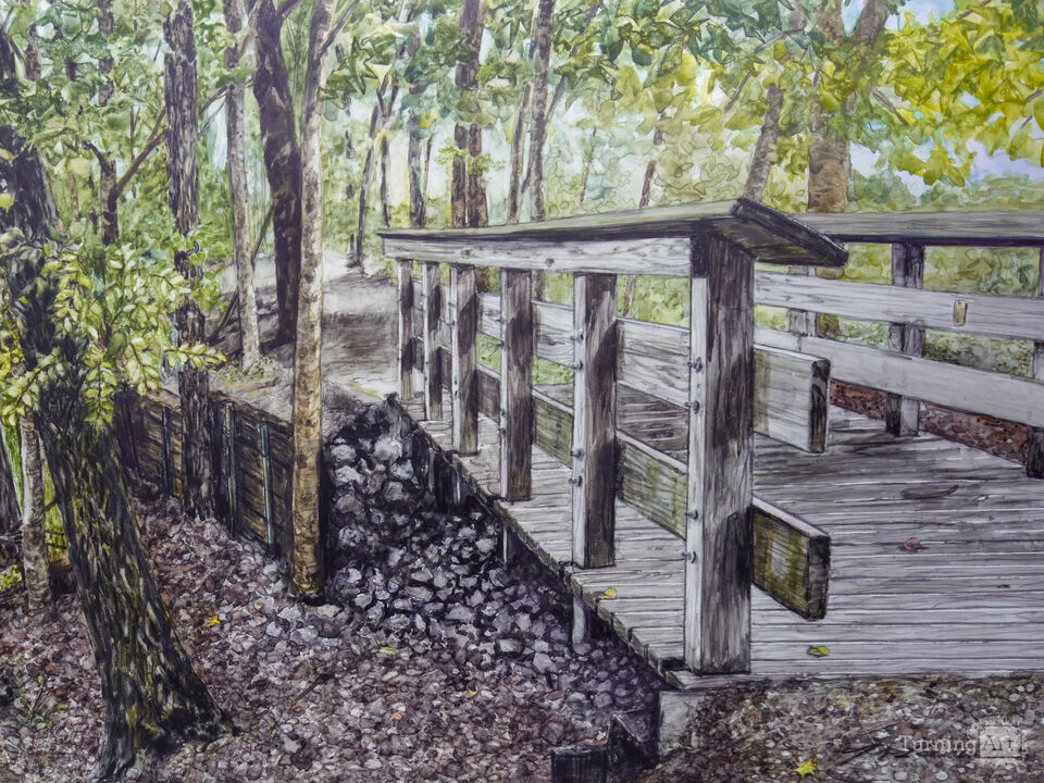 Backwood Trail Bridge