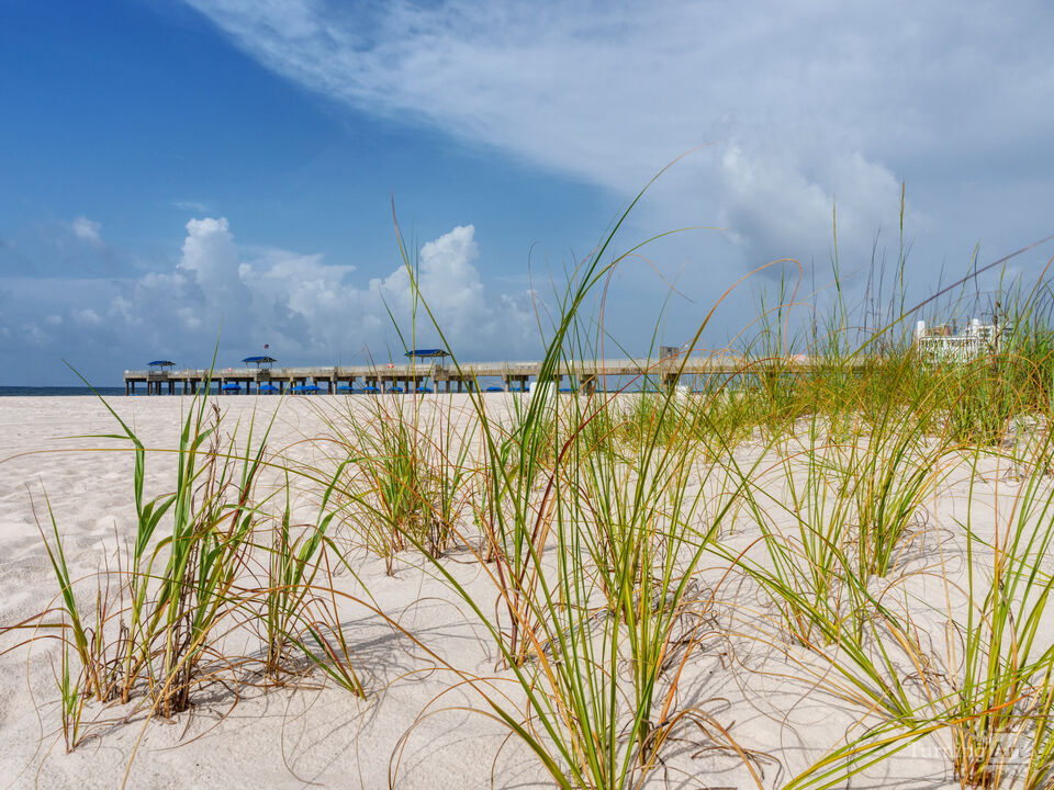 Orange Beach Pier Through Grass