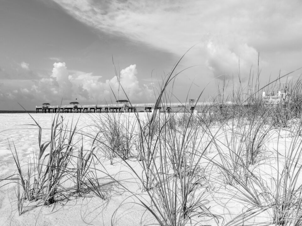 Orange Beach Pier Through Grass Grayscale