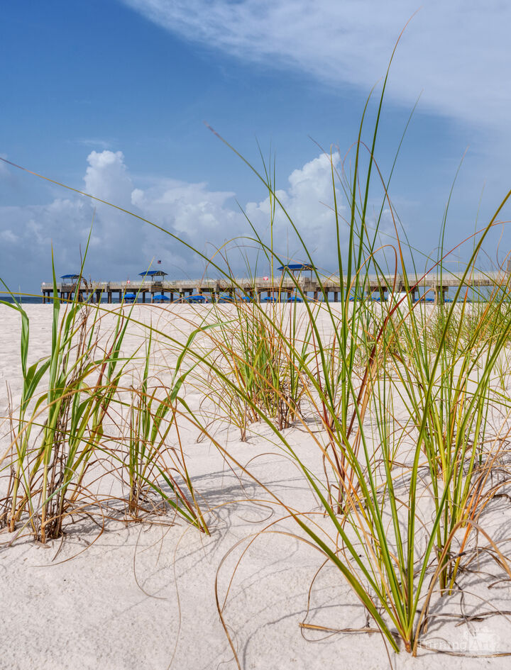 Orange Beach Pier Through Grass Vertical