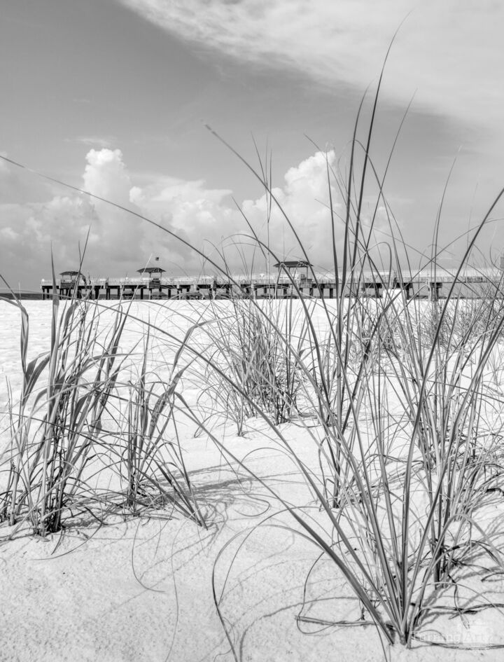 Orange Beach Pier Through Grass Vertical Grayscale