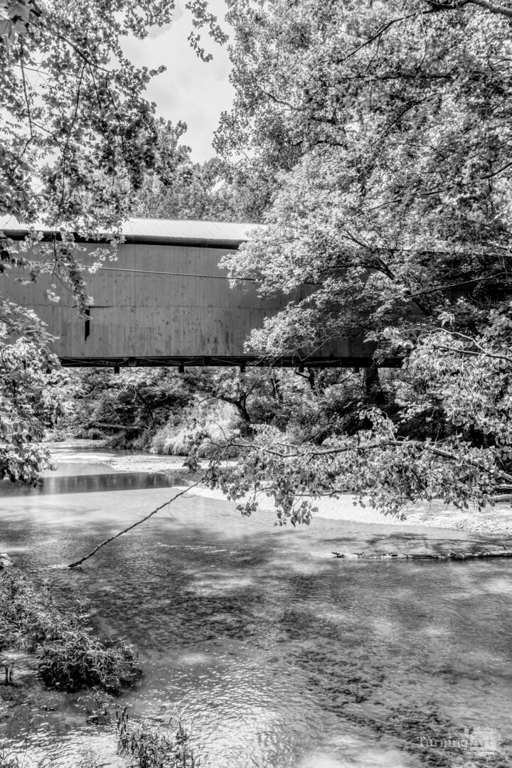 Wilkins Mill Indiana Covered Bridge Grayscale