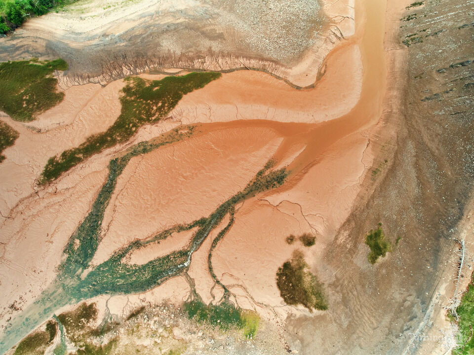 Abstract-Low Tide Cobequid Bay NS I