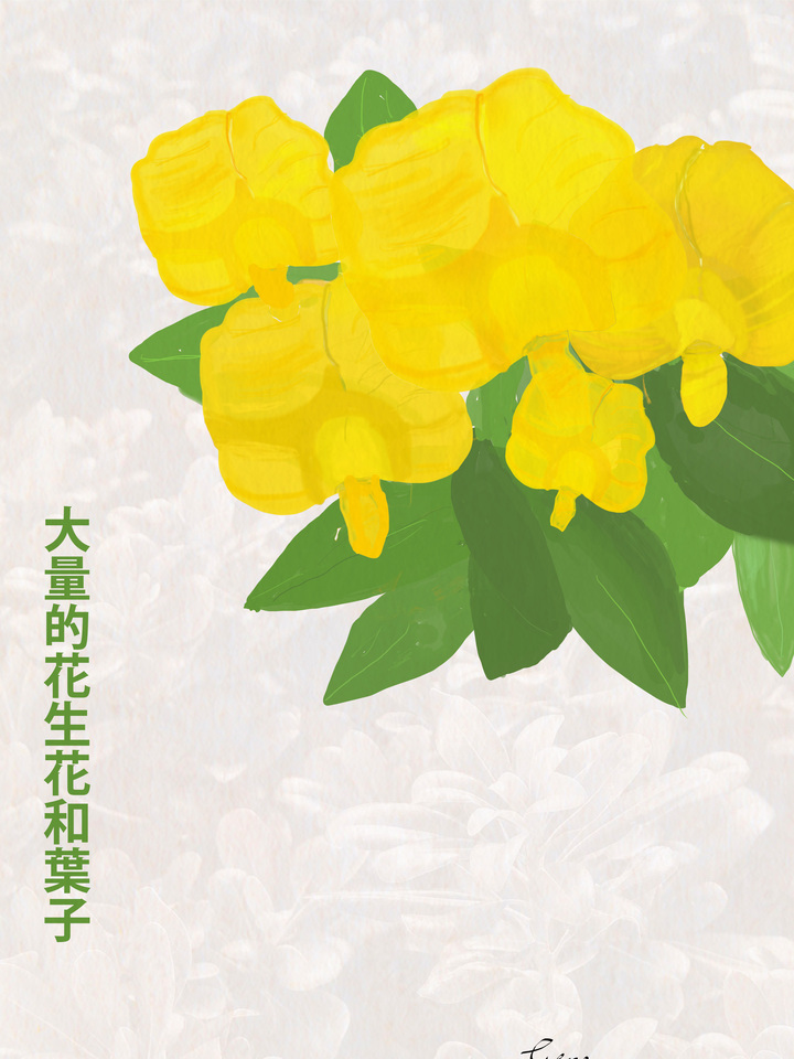 Peanut Flowers Hanzi