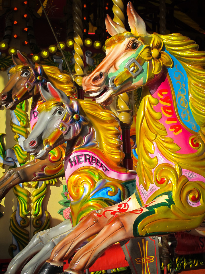 Carousel Fantasy