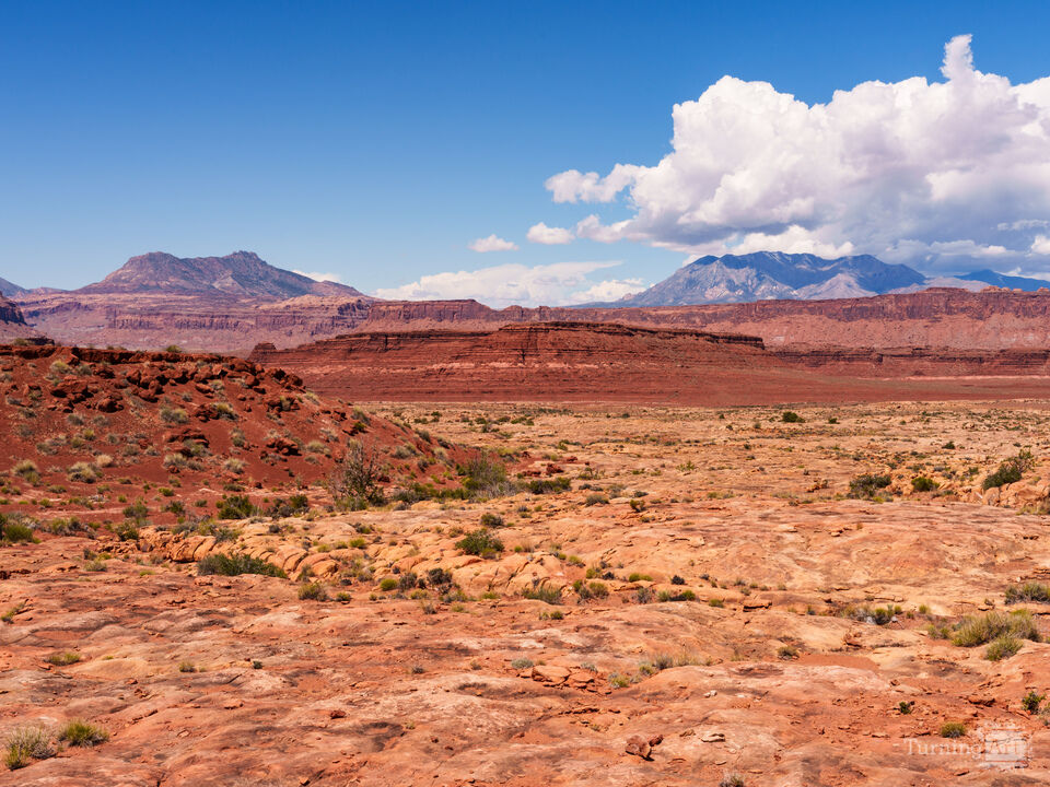 Utah Mt Ellsworth And Mt Holmes