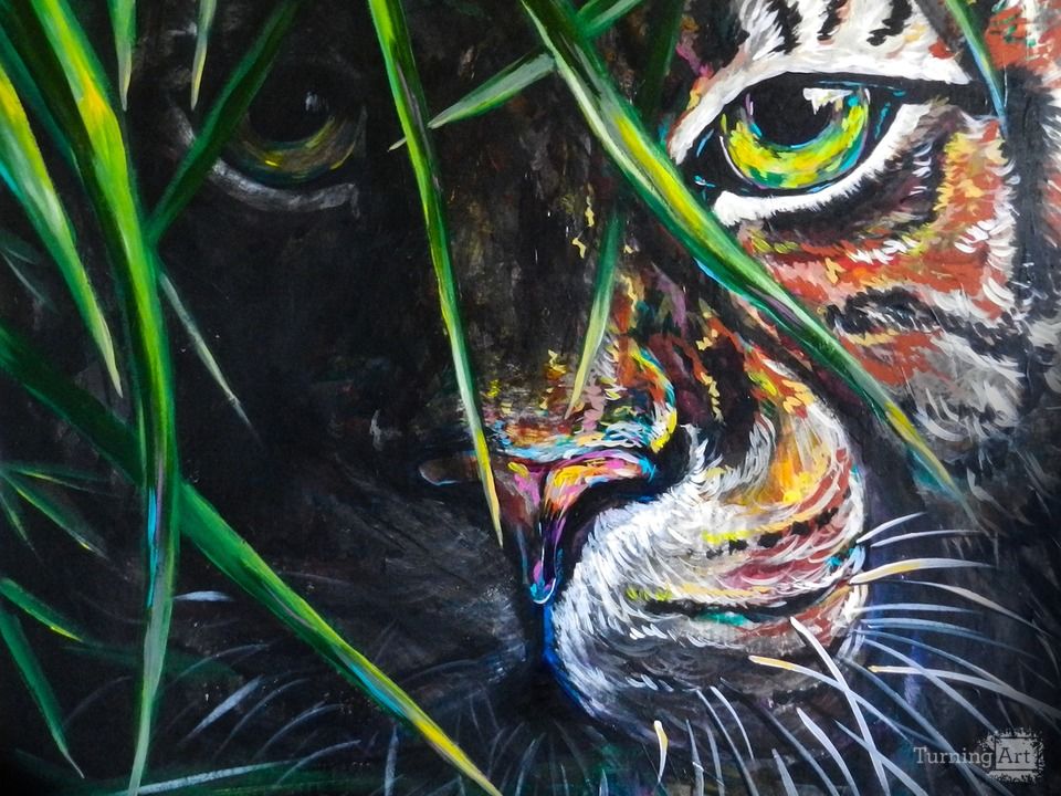 Emerge from the Shadows