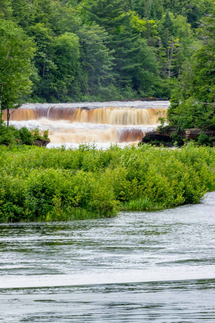 Tahquamenon Falls After Rain