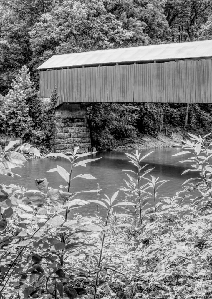 Side Of Cox Ford Covered Bridge Grayscale