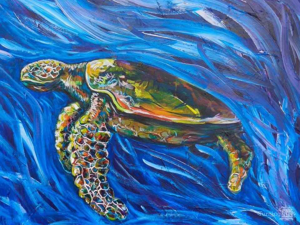 Green Sea Turtle