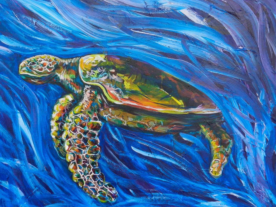 Green Sea Turtle