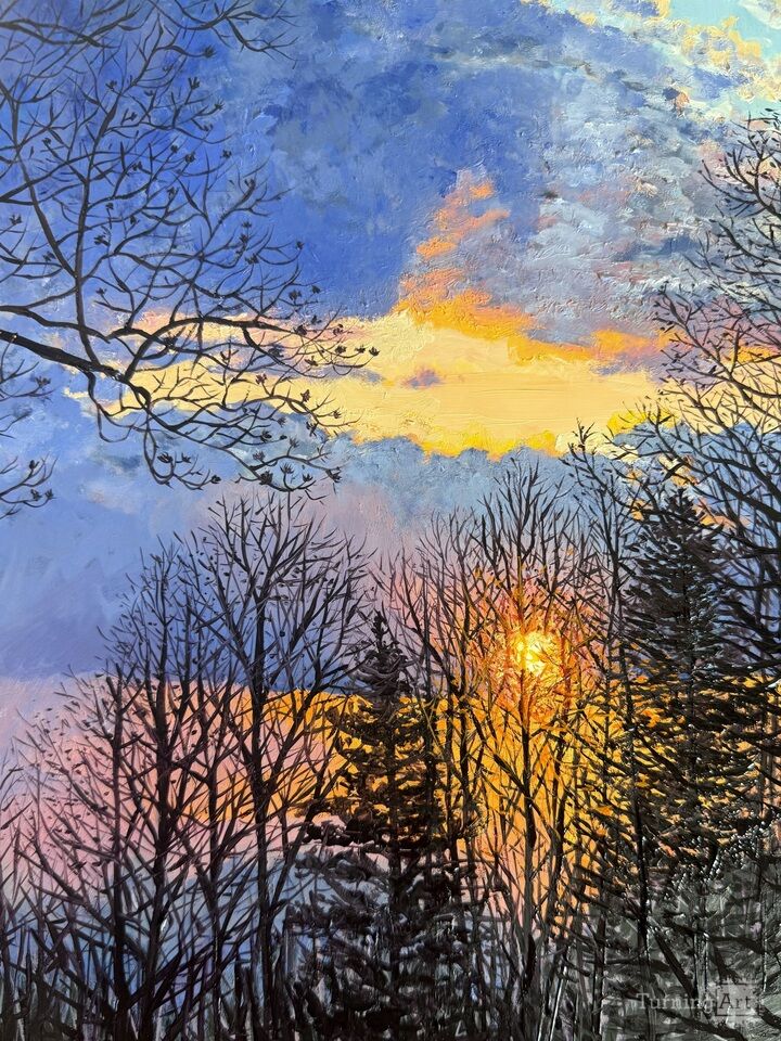 March Sunset in Fletcher, NC