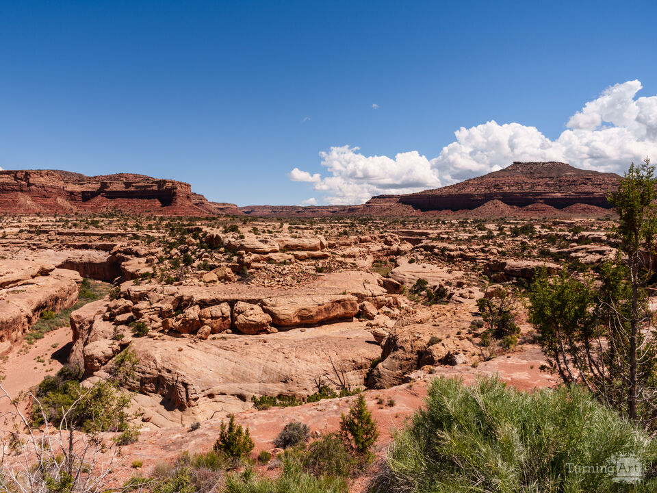 Utah White Canyon View