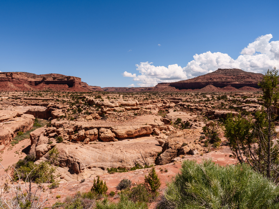 Utah White Canyon View