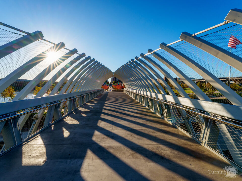 Farnam Pier Sunburst And City Skyline