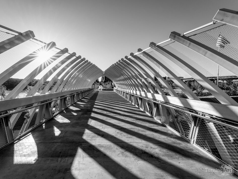 Farnam Pier Sunburst And City Skyline Grayscale