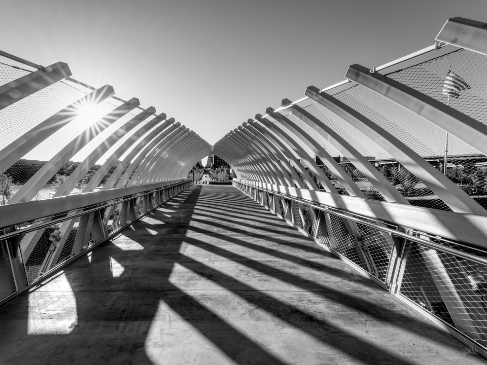 Farnam Pier Sunburst And City Skyline Grayscale