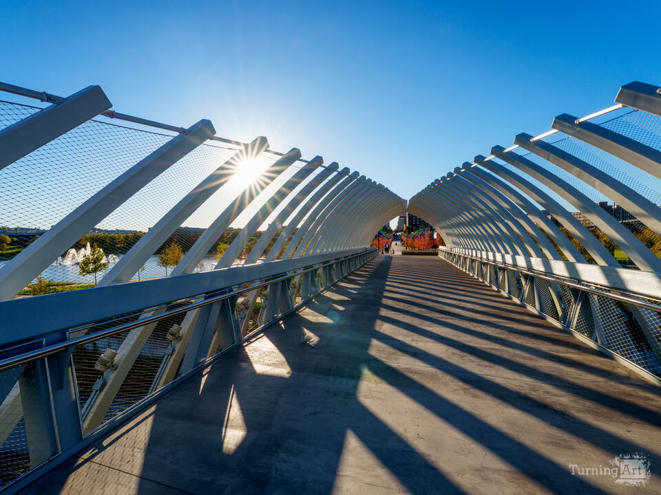 Sun Star Through Farnam Pier