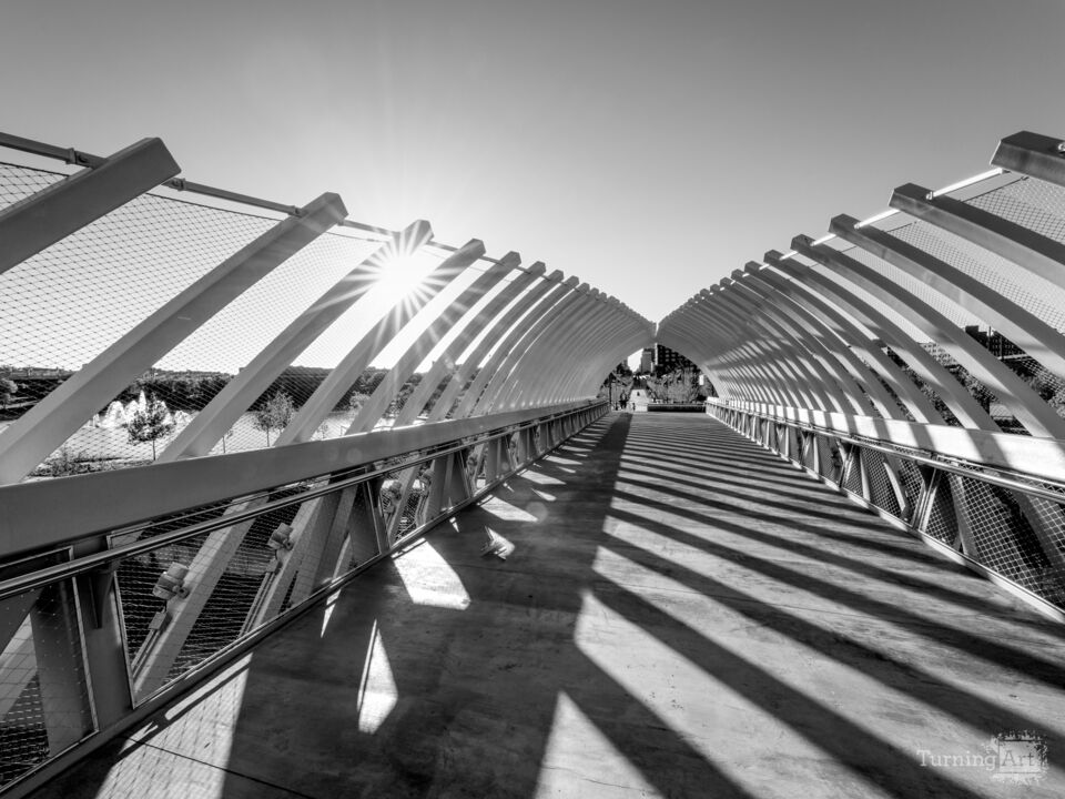 Sun Star Through Farnam Pier Grayscale
