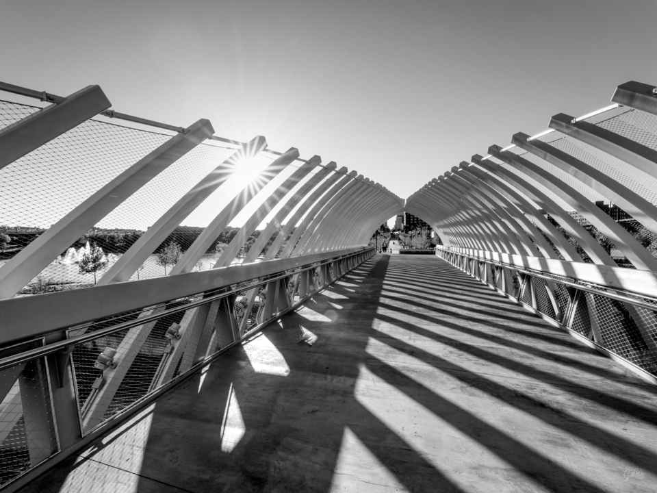 Sun Star Through Farnam Pier Grayscale