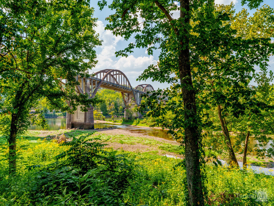 Cotter Bridge Framed By Trees