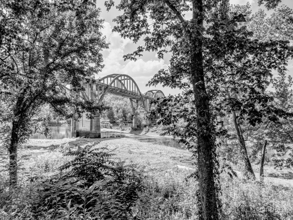 Cotter Bridge Framed By Trees Grayscale