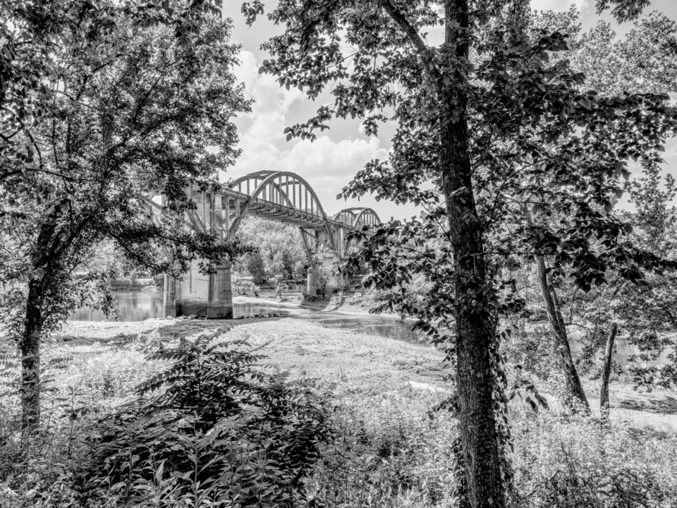 Cotter Bridge Framed By Trees Grayscale