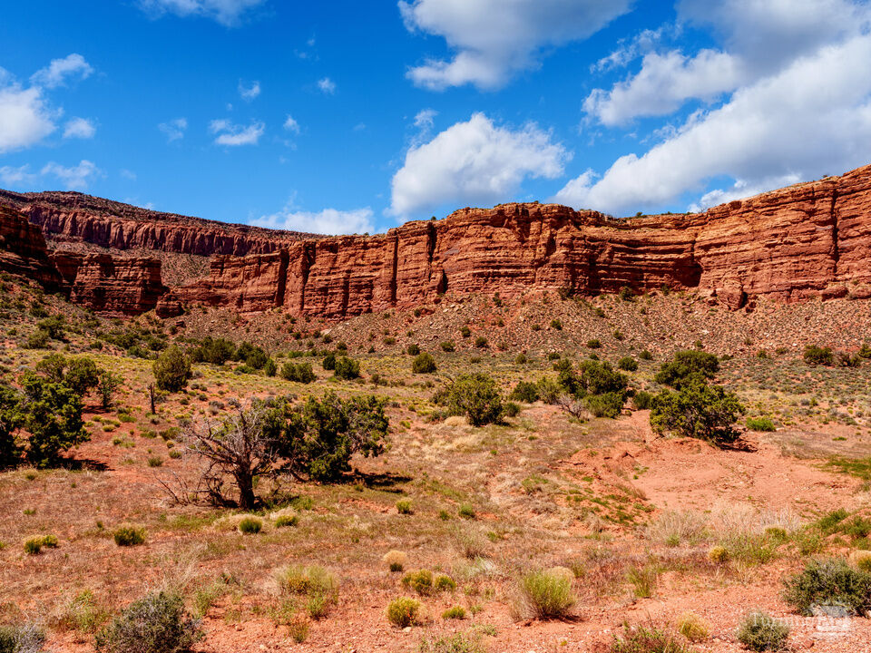 Utah San Juan County Cliffs