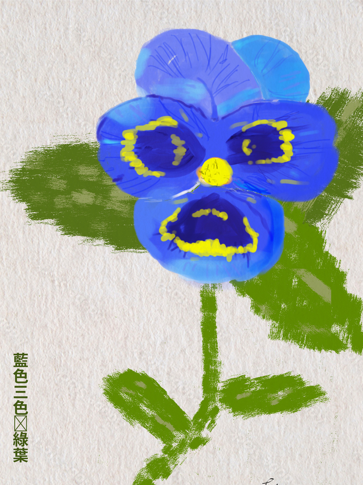 Blue Pansy Hanzi