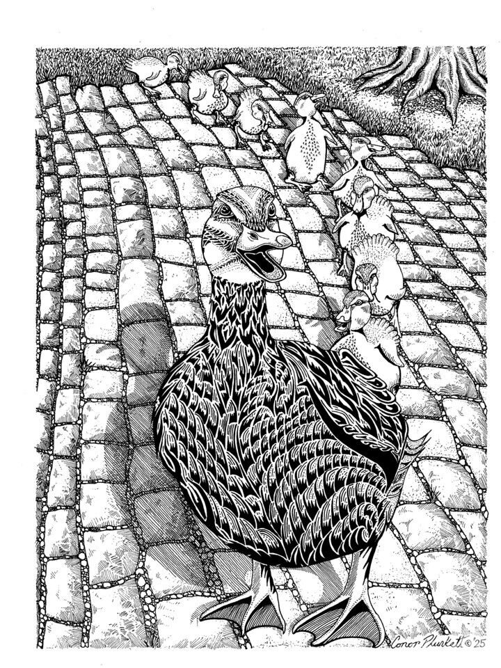 Boston's Make Way For Ducklings