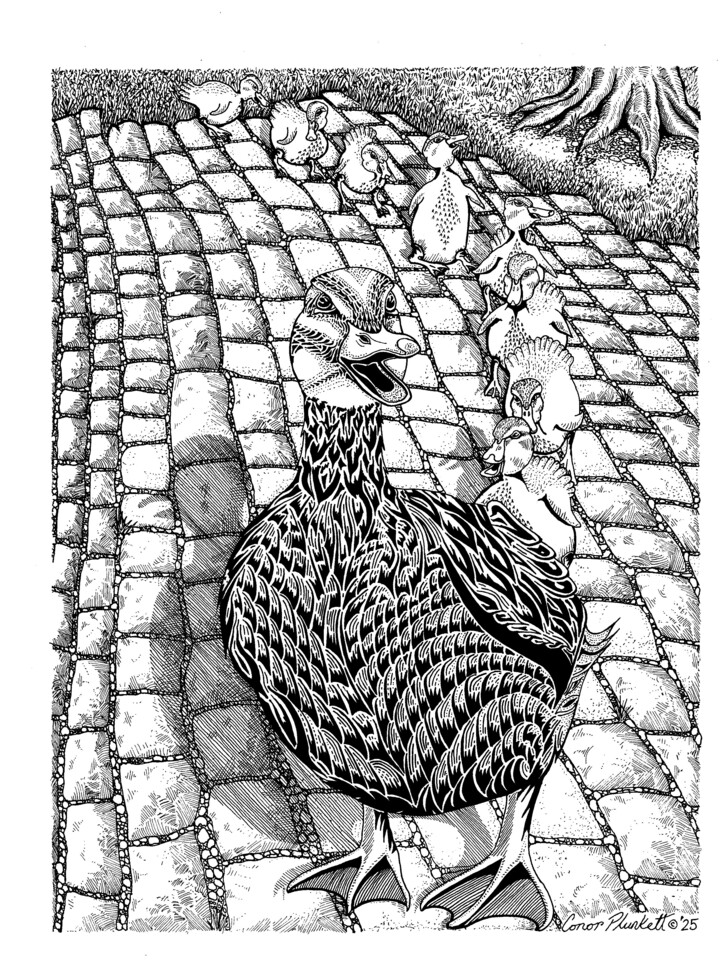 Boston's Make Way For Ducklings