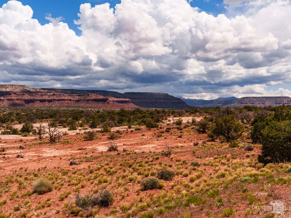 Fry Canyon Utah Vista