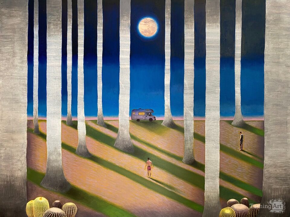 Shed Attachments n.6