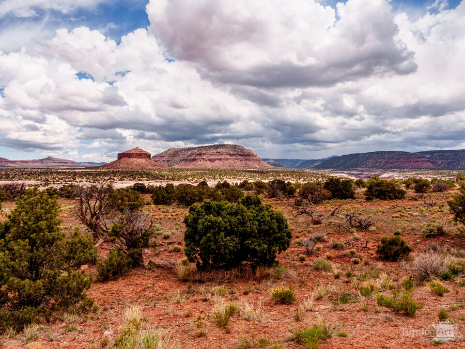 Cheese Box Butte Utah