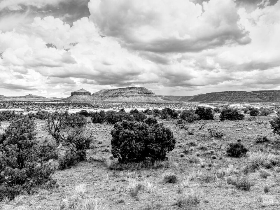 Cheese Box Butte Utah Grayscale
