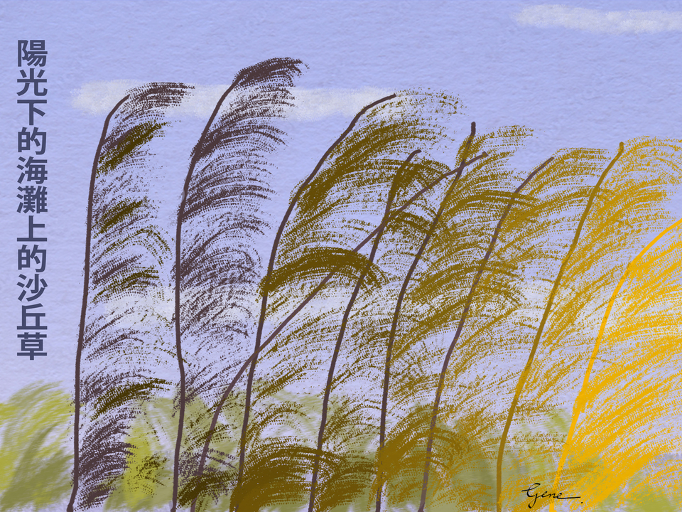 DUne Grass with Hanzi Script
