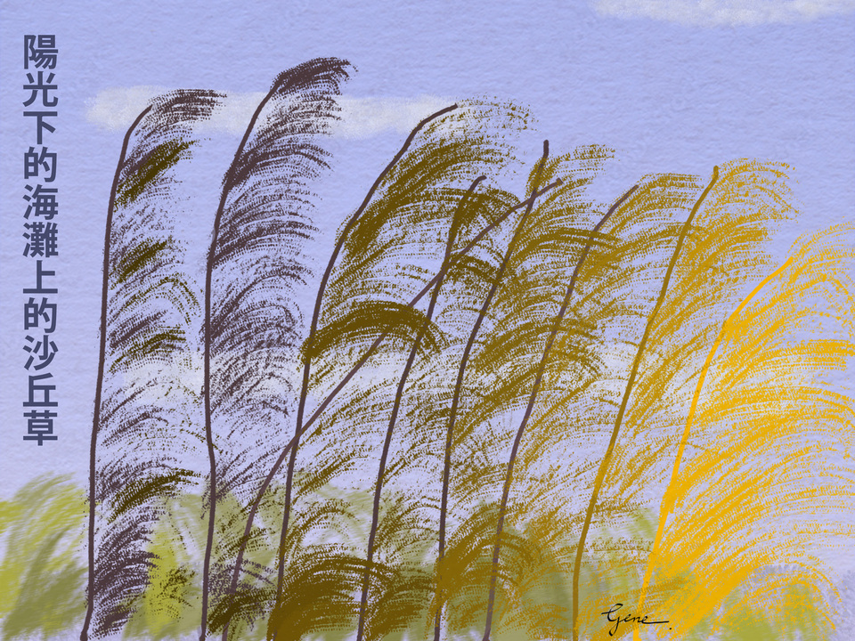 DUne Grass with Hanzi Script