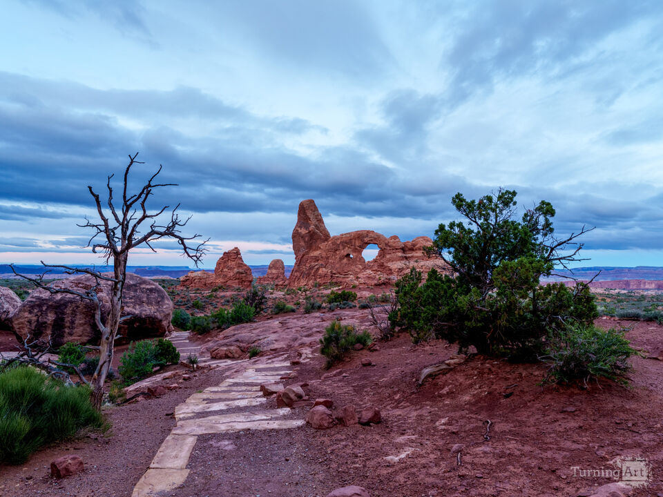 Turret Arch Walkway Through Junipers