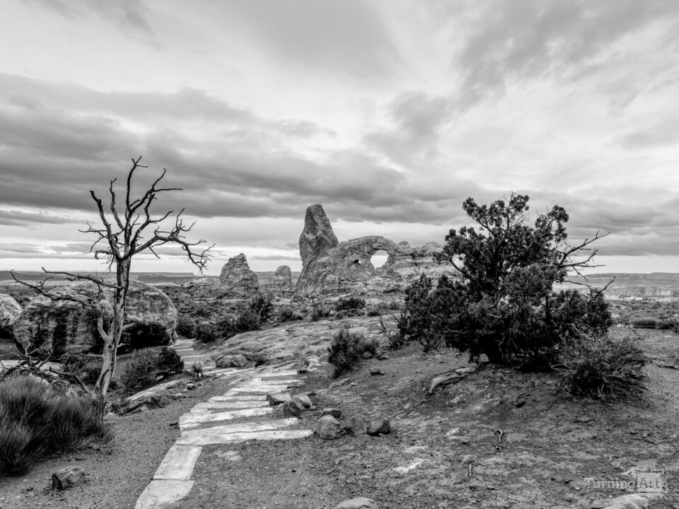Turret Arch Walkway Through Junipers Grayscale