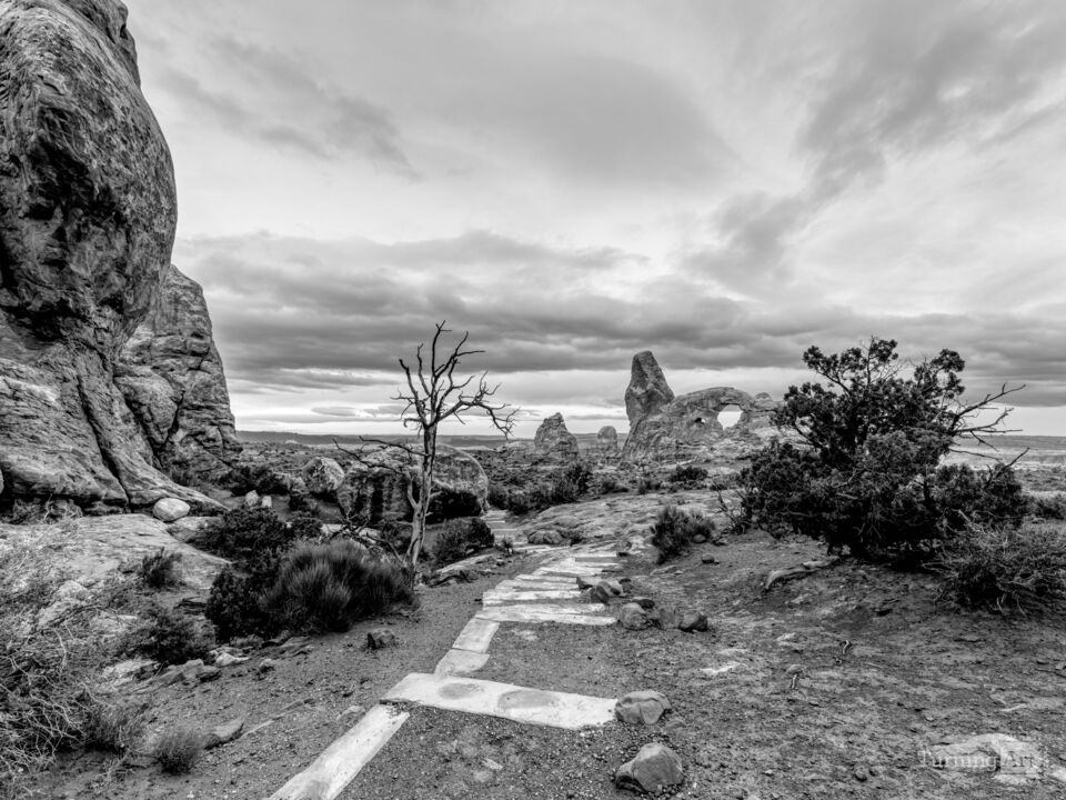 Path To Turret Arch At Blue Hour Grayscale