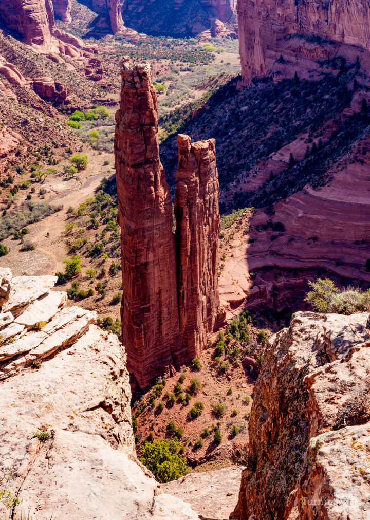 Guardian of the Canyon Spider Rock