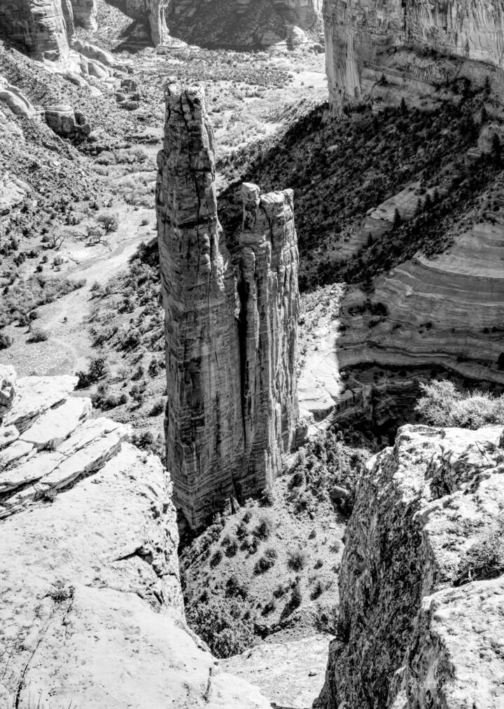 Guardian of the Canyon Spider Rock Grayscale