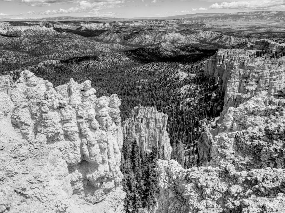 Bryce Hoodoo Viewpoint Grayscale