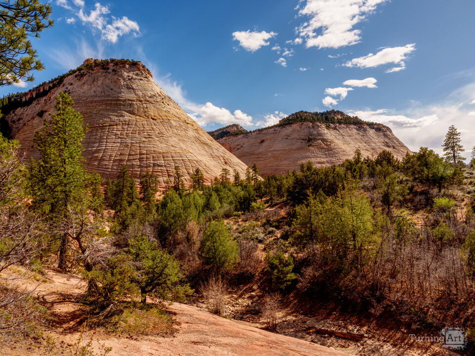 Checkerboard And Crazy Quilt Mesas