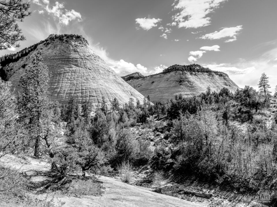 Checkerboard And Crazy Quilt Mesas Grayscale