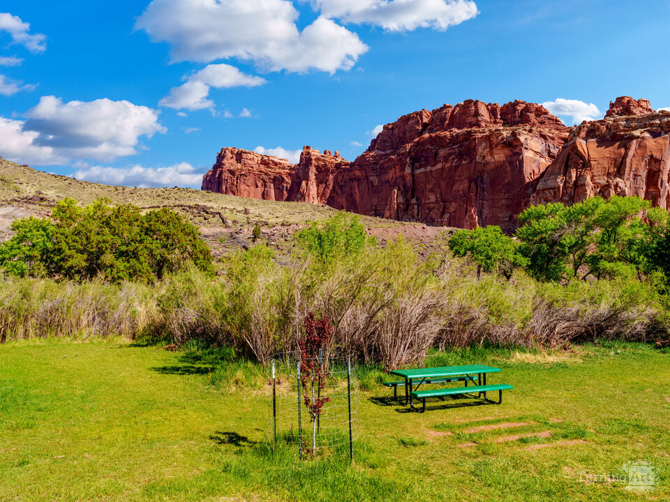 Capitol Reef Gifford Picnic Area