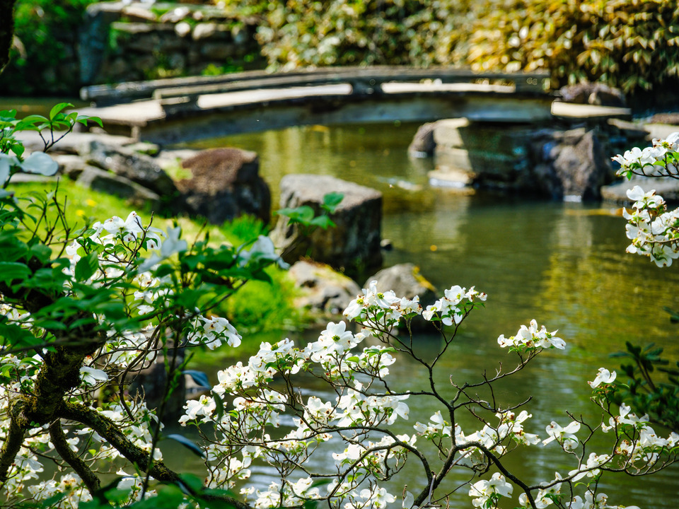 Japanese Footbridge at the Shofuso Teahouse