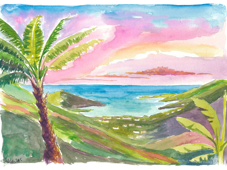 Saint John USVI Palm Serenity Over Coral Bay