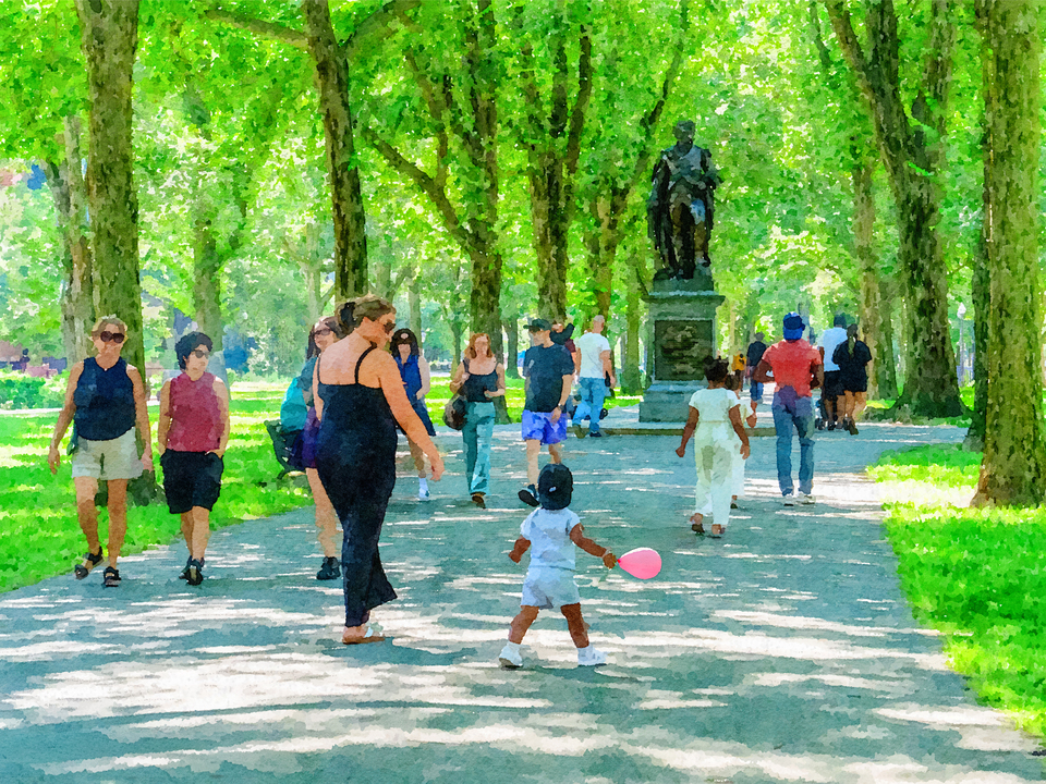 Summer Promenade on the Commonwealth Avenue Mall