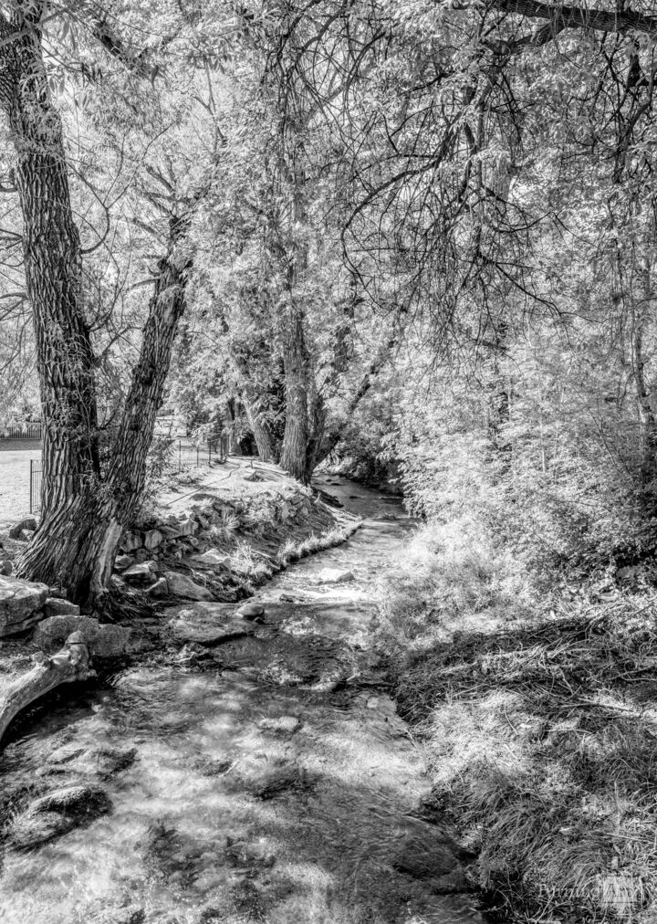 Fountain Creek Curves Through Manitou Springs Grayscale